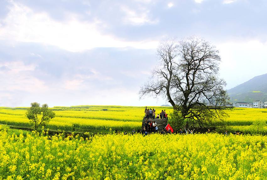 重庆秀山富人区,重庆秀山美丽县城