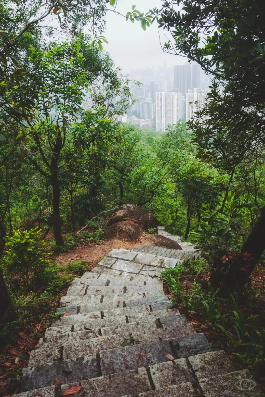 深圳值得打卡的建筑物,深圳最值得打卡的山