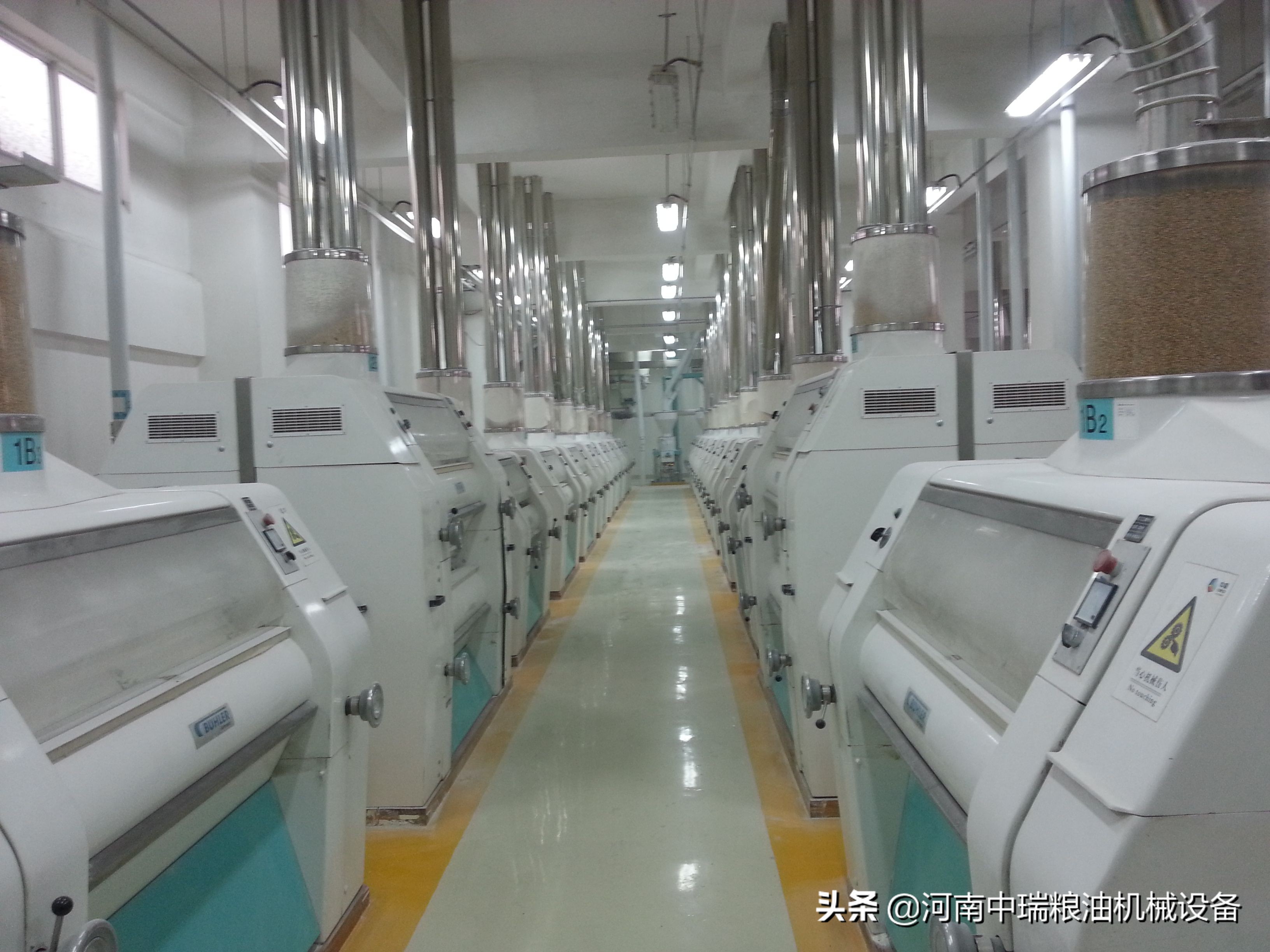 中瑞榨油机价格,中瑞粮油机械