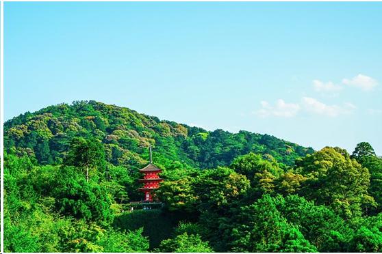 来到日本不能错过章鱼小丸子,去京都不可错过的和服体验