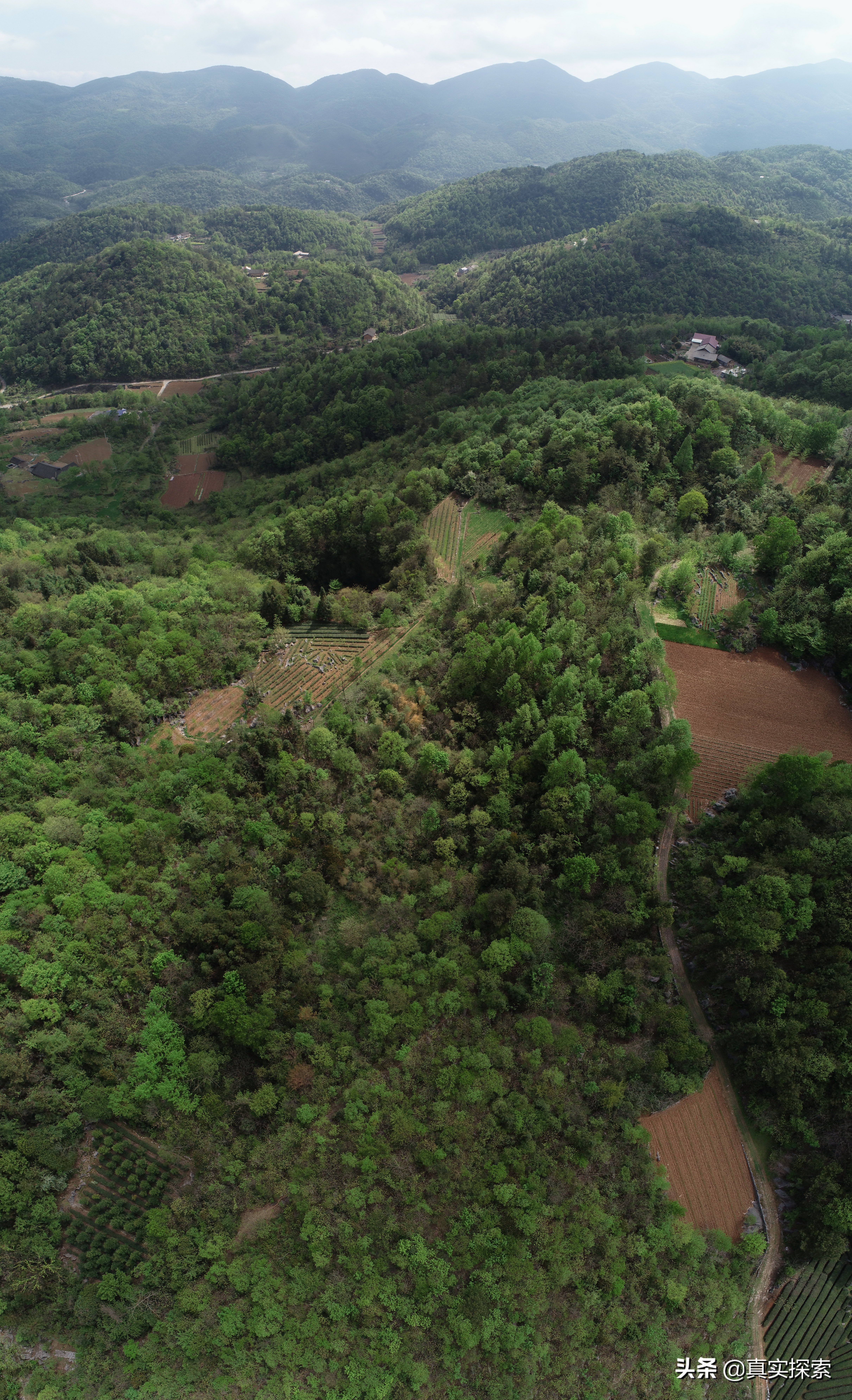 湖北天坑新发现神农架,湖北大山的神秘天坑
