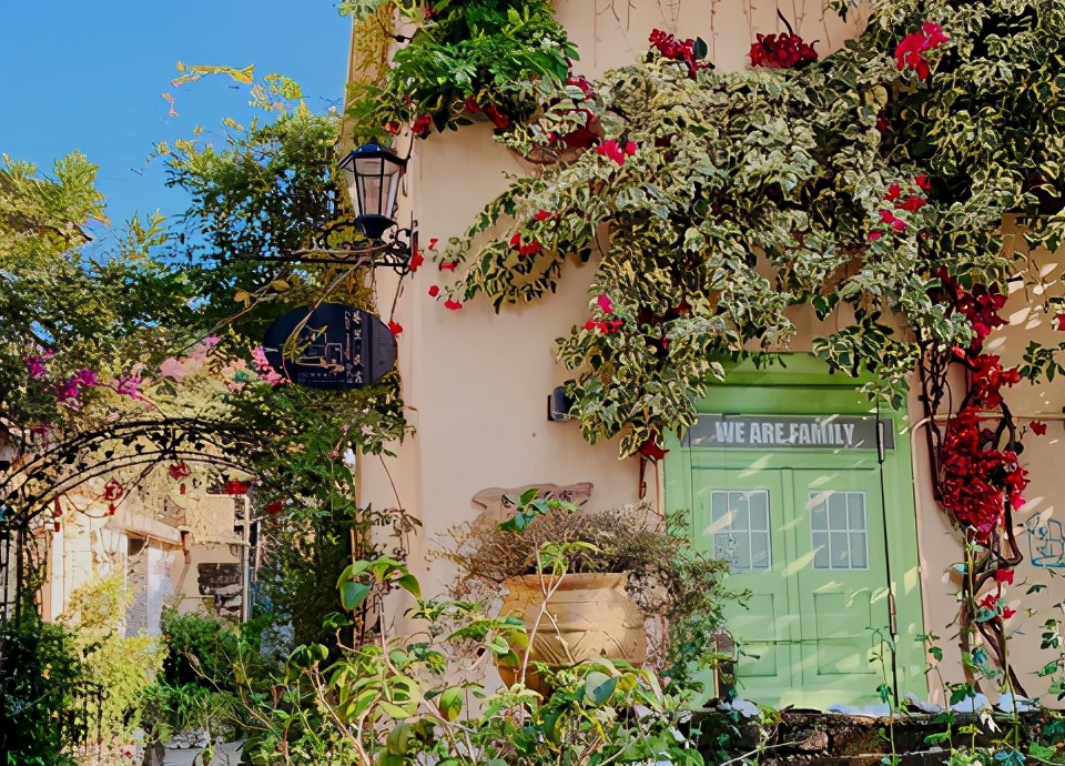 美丽的广东淇澳岛,依偎在珠海市旁的小岛,村民亲自打造的白石街