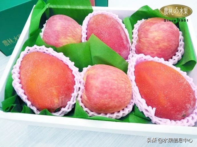 端午水果礼盒搭配在60元左右,端午水果礼盒搭配方案简单