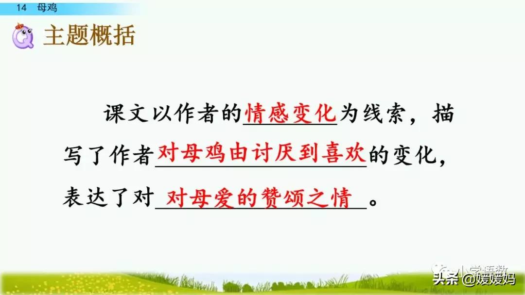 四年级下册第13课小练笔仿写母鸡,四年级下册14课母鸡的预习完整版