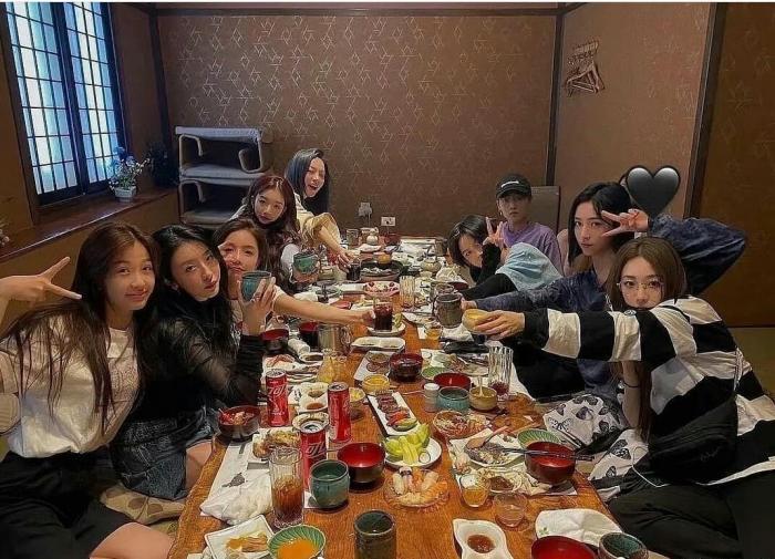 the9团应援色,the9团粉应援