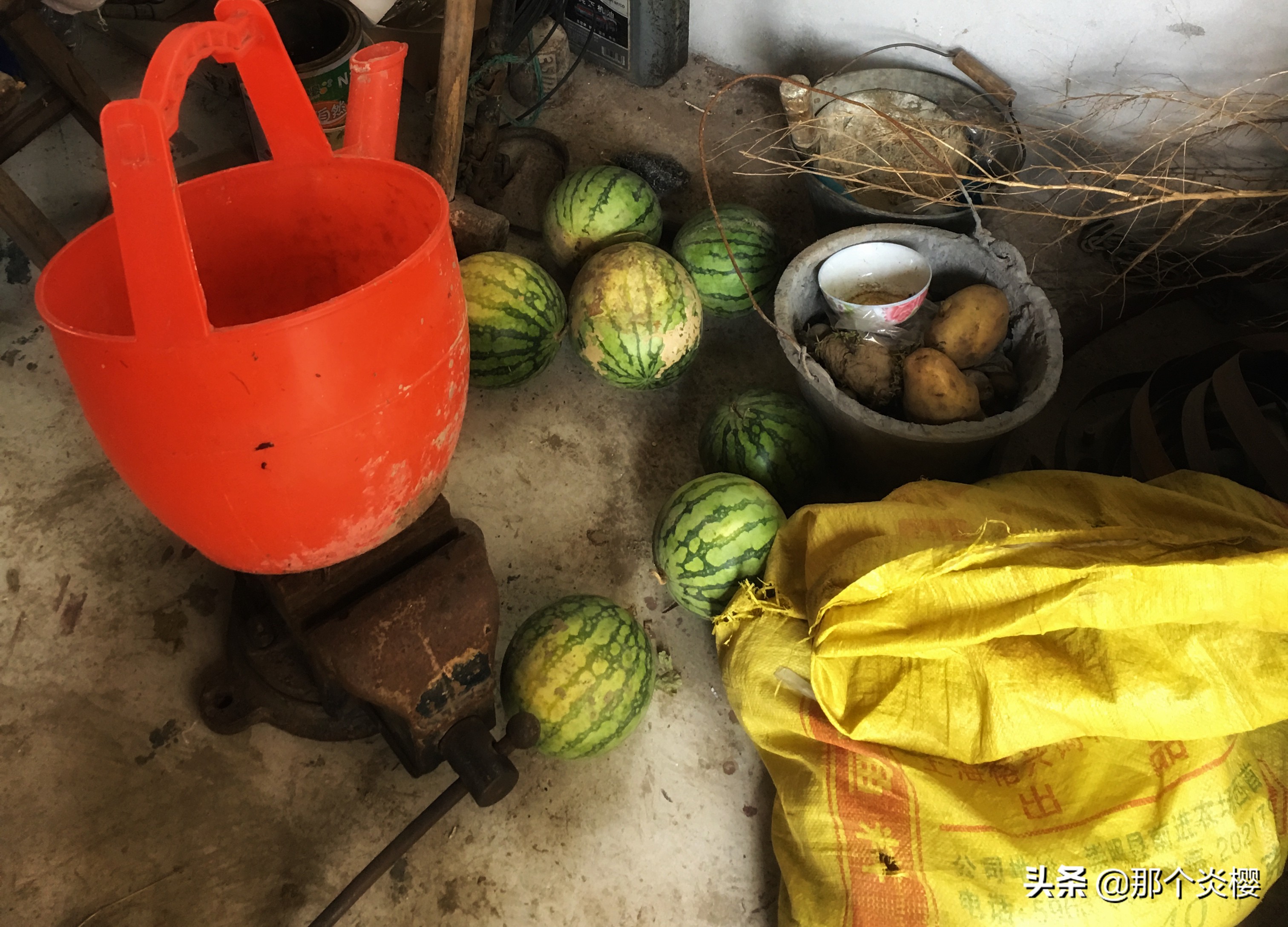 上海崇明农家乐三天二夜推荐,平凡生活琐碎日常油盐酱醋茶