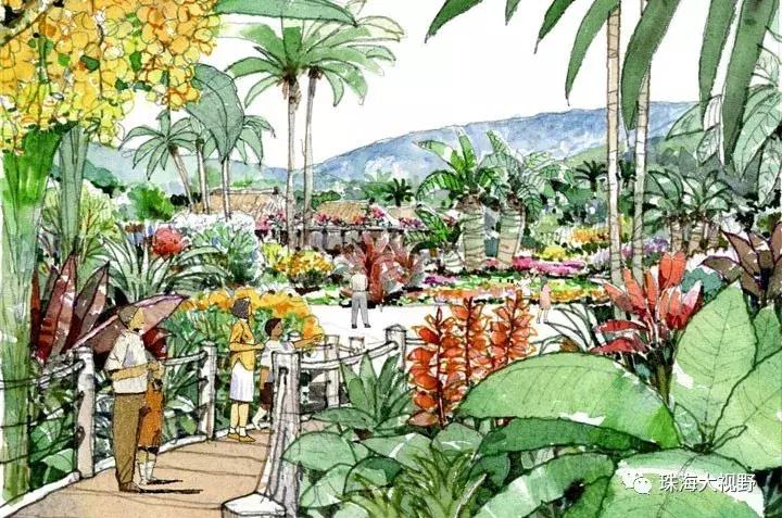 珠海凤凰山风景区怎么样,珠海凤凰山开放通知最新