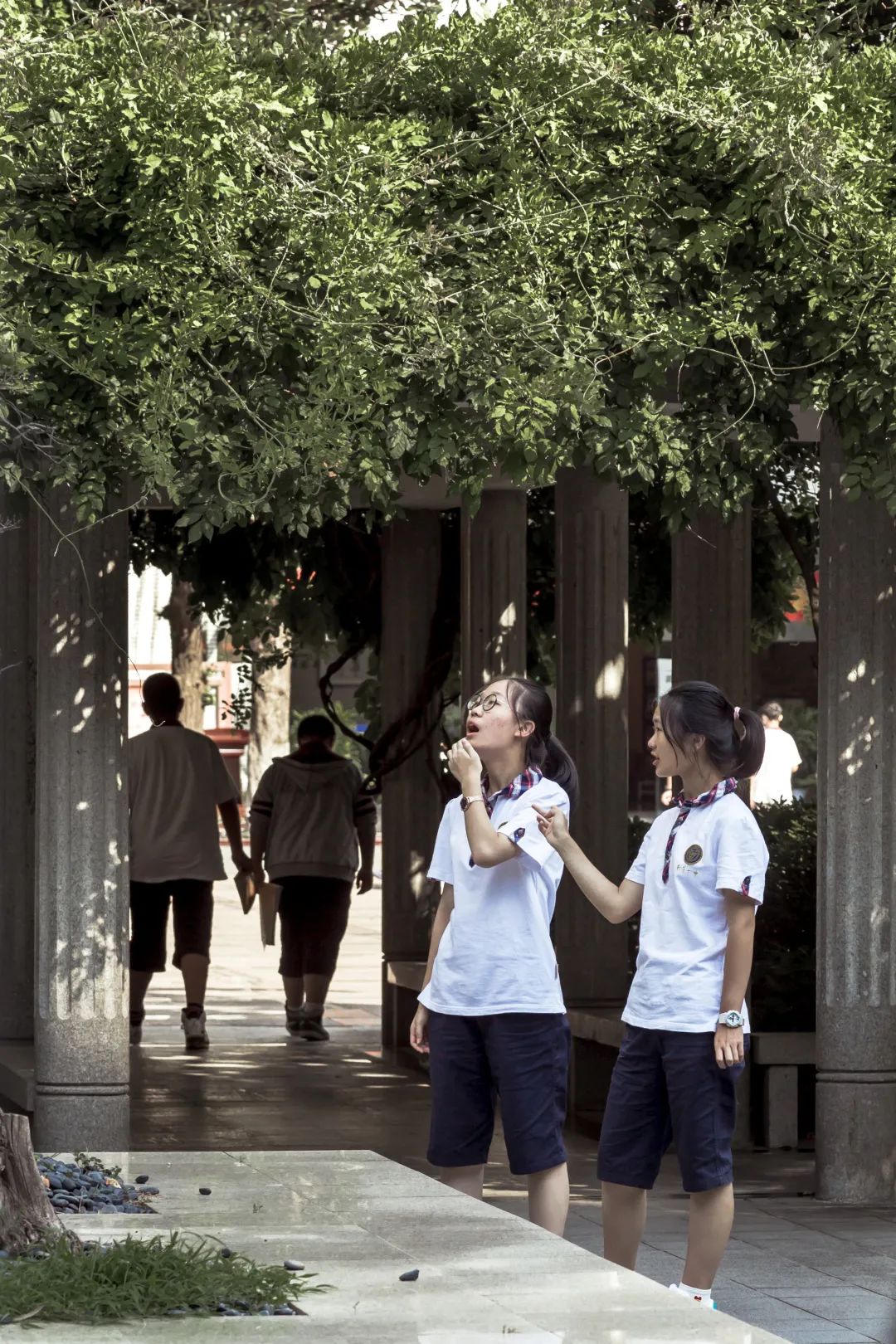 高中神话华师一,南京一中高中