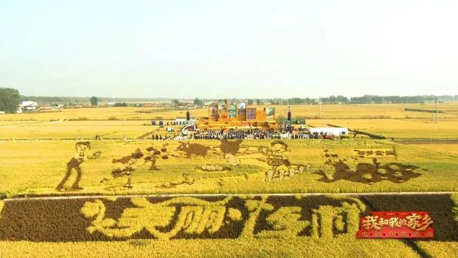 鐕冪垎杩欎釜鏄ヨ妭,鐕冪垎杩欎釜鍐ぉ