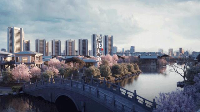 杭州湾港中旅锦绣东方小区实景图,港中旅锦绣东方图片