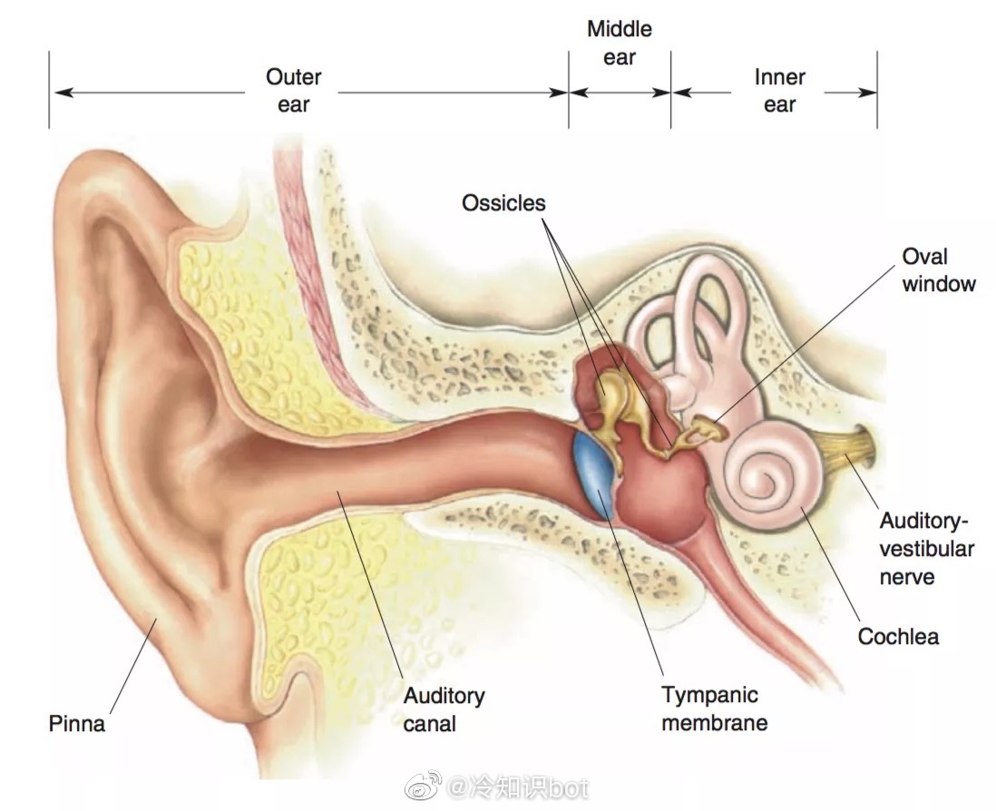 人听自己的录音声音难听的原因,为什么听录音会觉得自己声音变了
