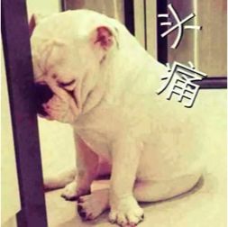 湖北省最难听懂的十大方言,湖北省最难听懂的5大方言