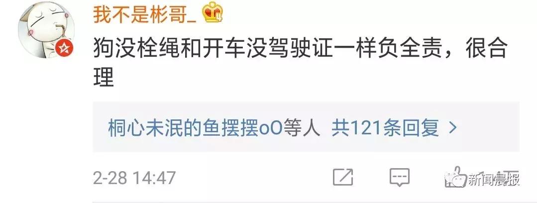 赔了20万！狗狗只是起身走了两步，老人摔成9级伤残！网友炸锅…