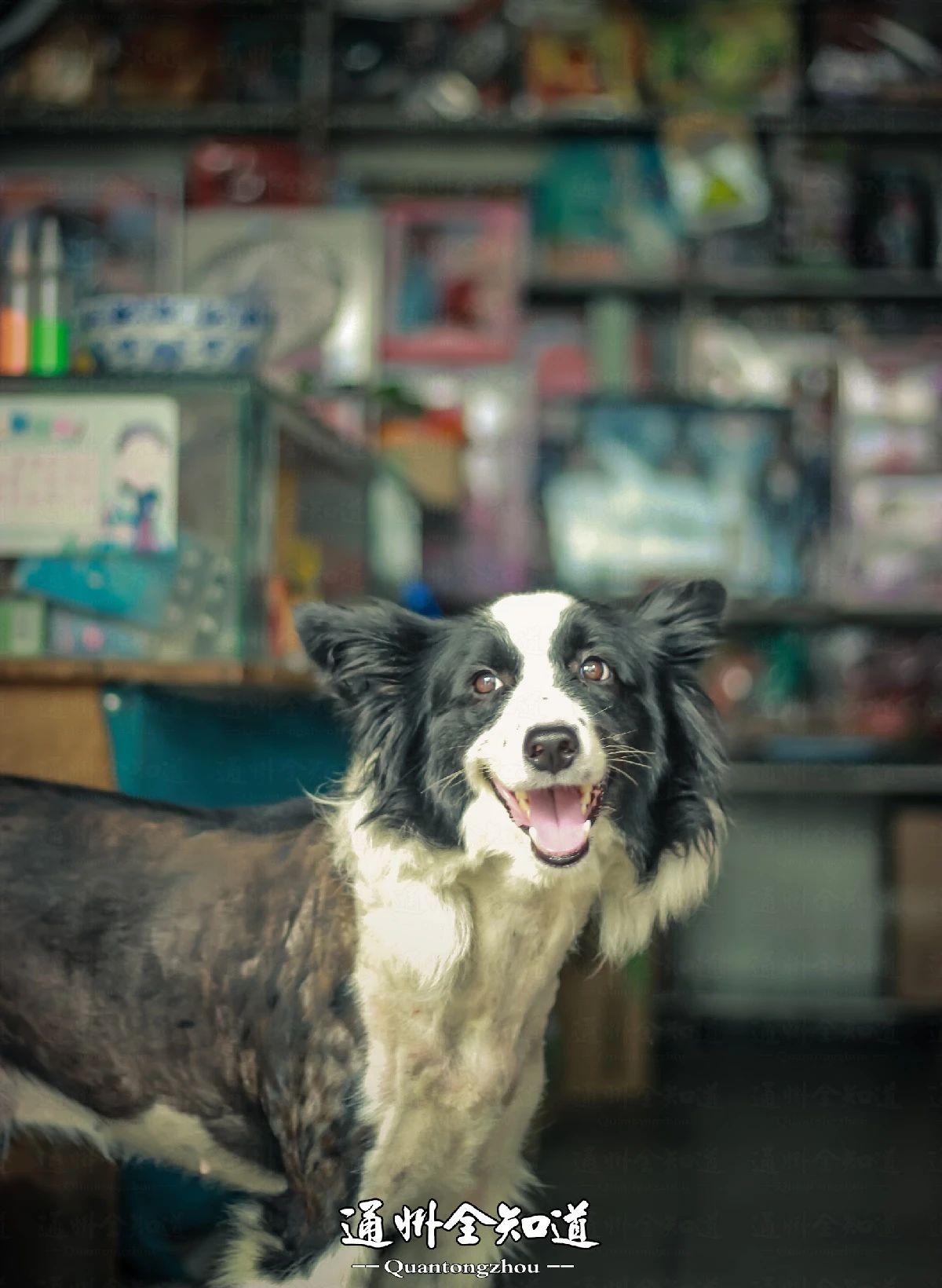 金沙小学旁边小卖部,金沙小卖部