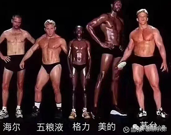 格力公司大跌原因,格力新进十大股东