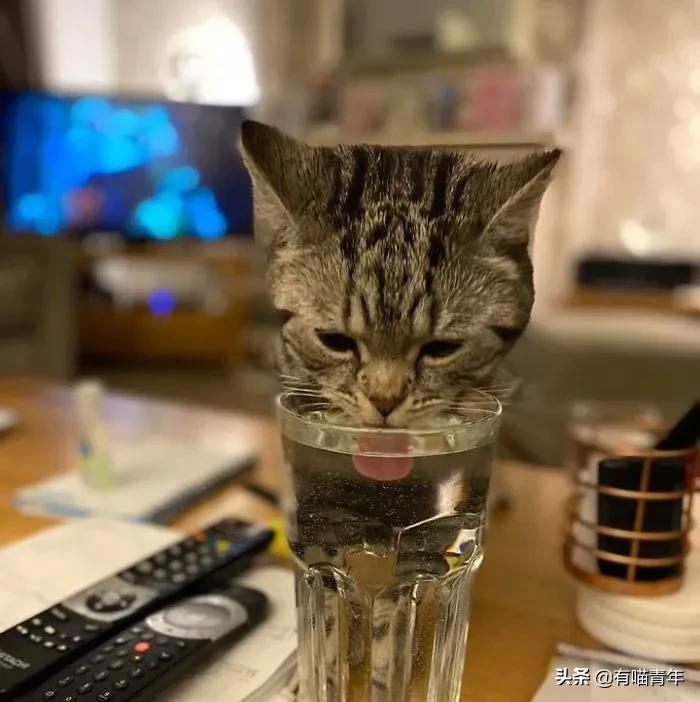 24岁男子喜当爹去派出所,90后男子相亲被误当爹