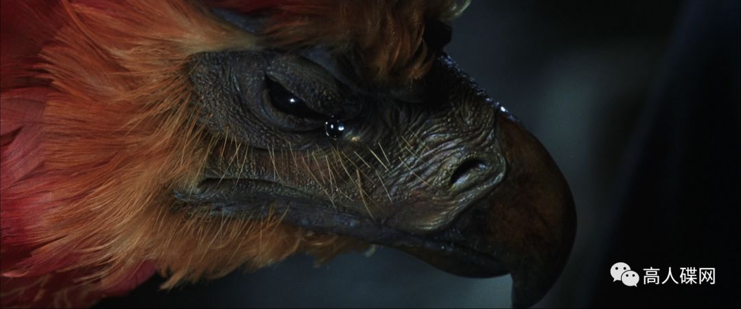 高人碟报：中录华纳正版BD《哈利波特与密室》