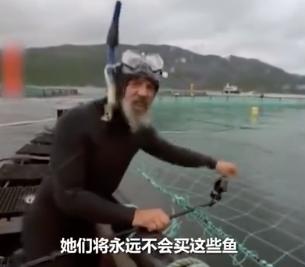 “最毒僵尸鱼”，外媒曝挪威三文鱼养殖乱象，看完胃不好了