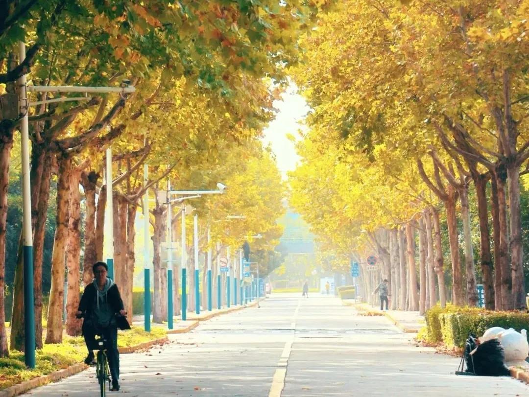 陕西最“豪华”大学之一！坐拥4大“网红”食堂，游泳馆、商业街一应俱全！