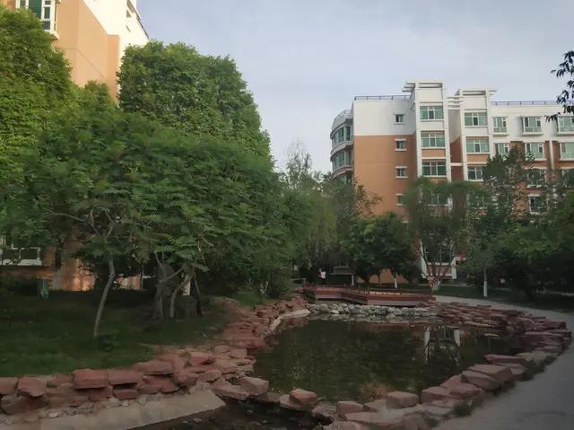 绿地城二期绿化乌鲁木齐,乌鲁木齐中海万锦公馆绿化环境