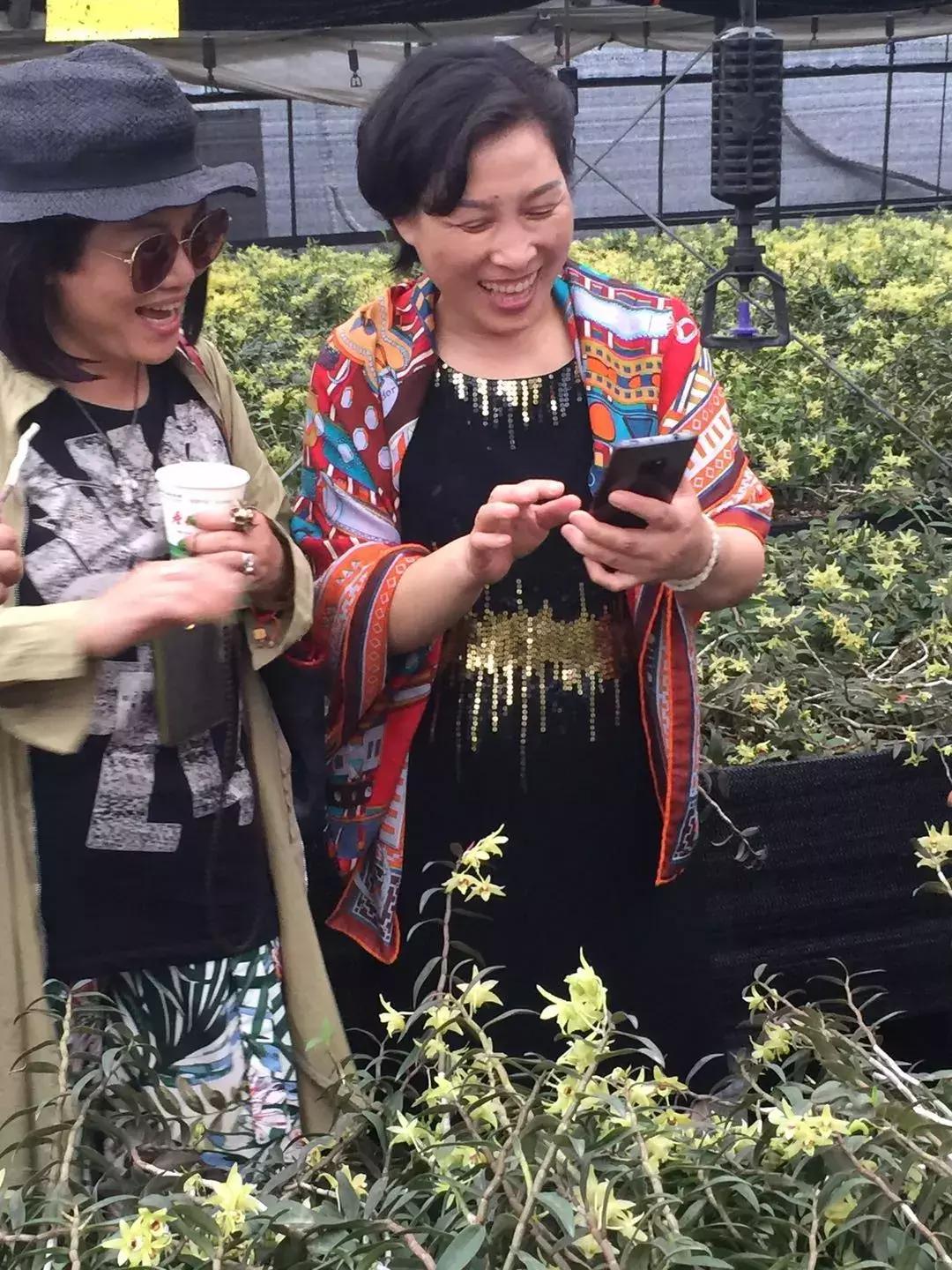 2022年寿仙谷杯省运会,寿仙谷比赛