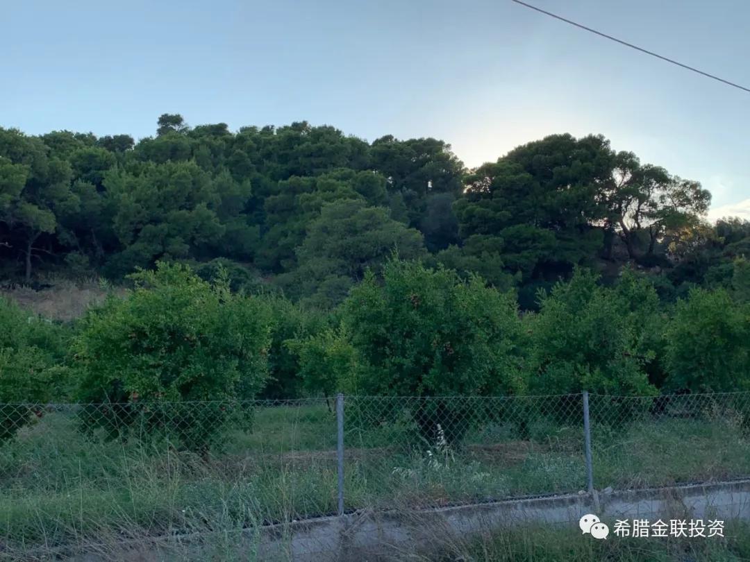 希腊农地价格,希腊土地多少钱一亩