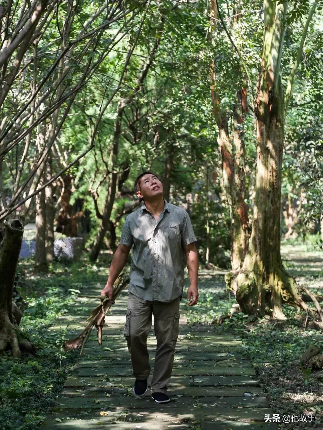 人间仙境般的世外桃源庭院,原始森林自建世外桃源