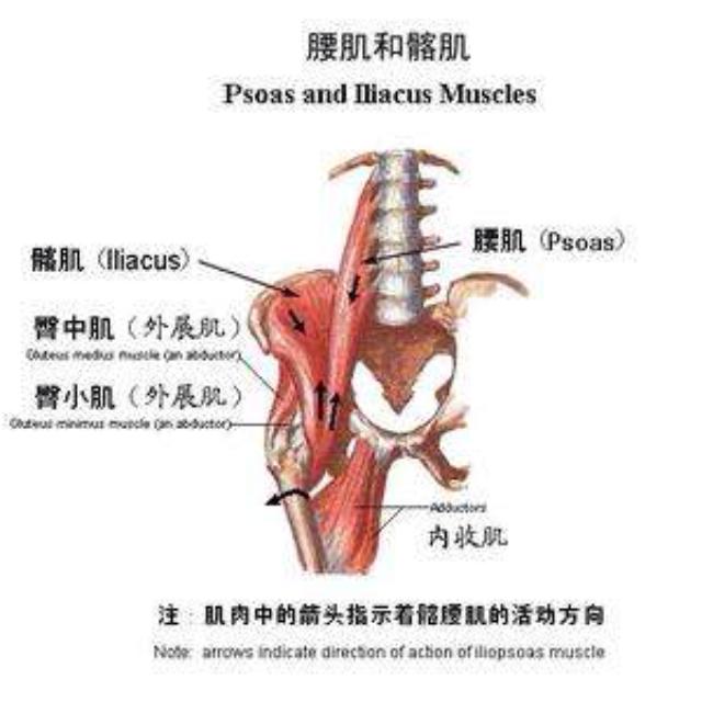 手法与针灸配合治疗慢性盆腔炎效果更好
