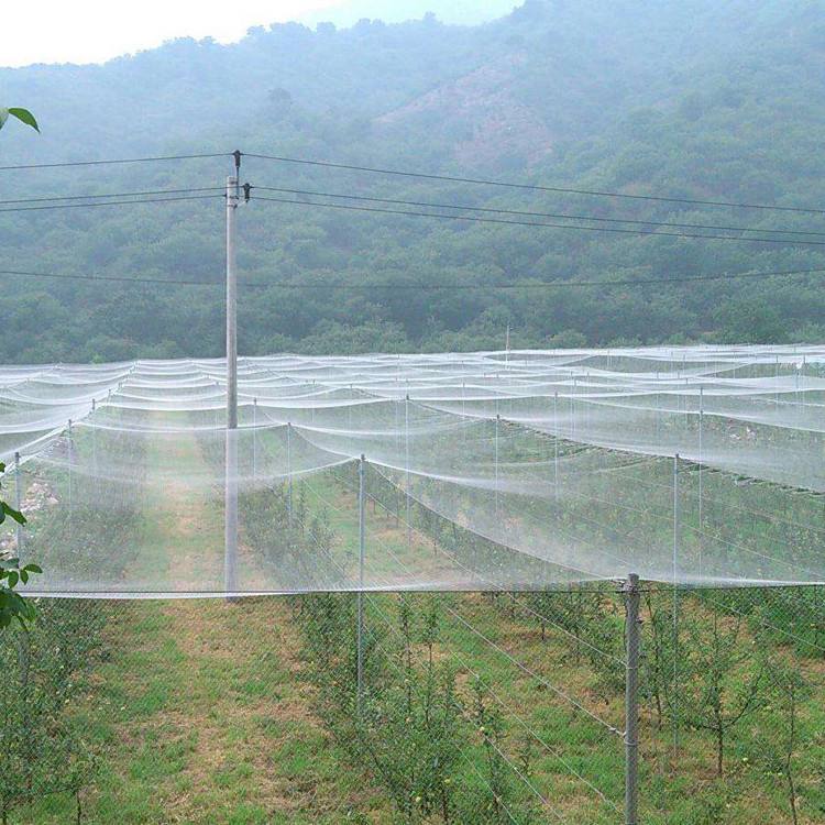 浜洪笩澶ф垬璋佽兘鎵撹耽,浜洪笩鎴樹簤