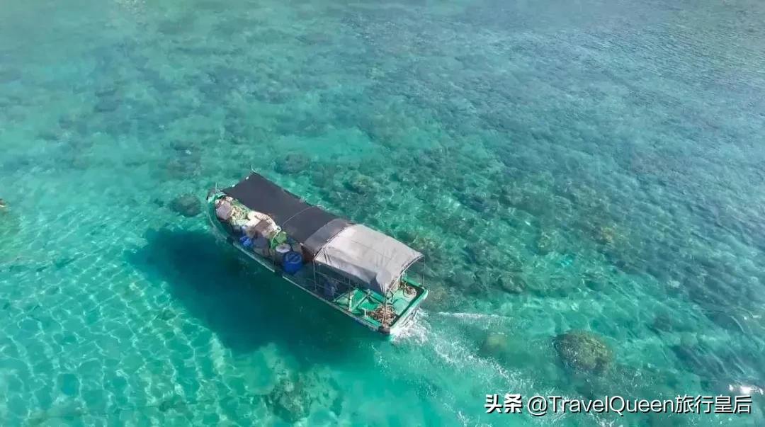 动物森友会无人岛一天可以去几次,动物森友会所有虫类图鉴