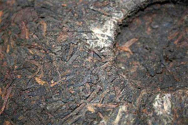 美酒变味！茗茶长毛！雪茄发霉！原来是这步骤没做好