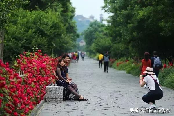 你如果不来蓬莱阁，你就不会知道……