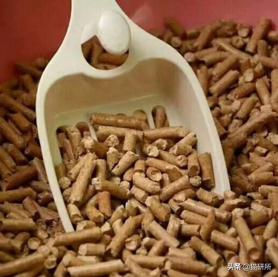 选猫砂防臭,天然矿石猫砂推荐测评