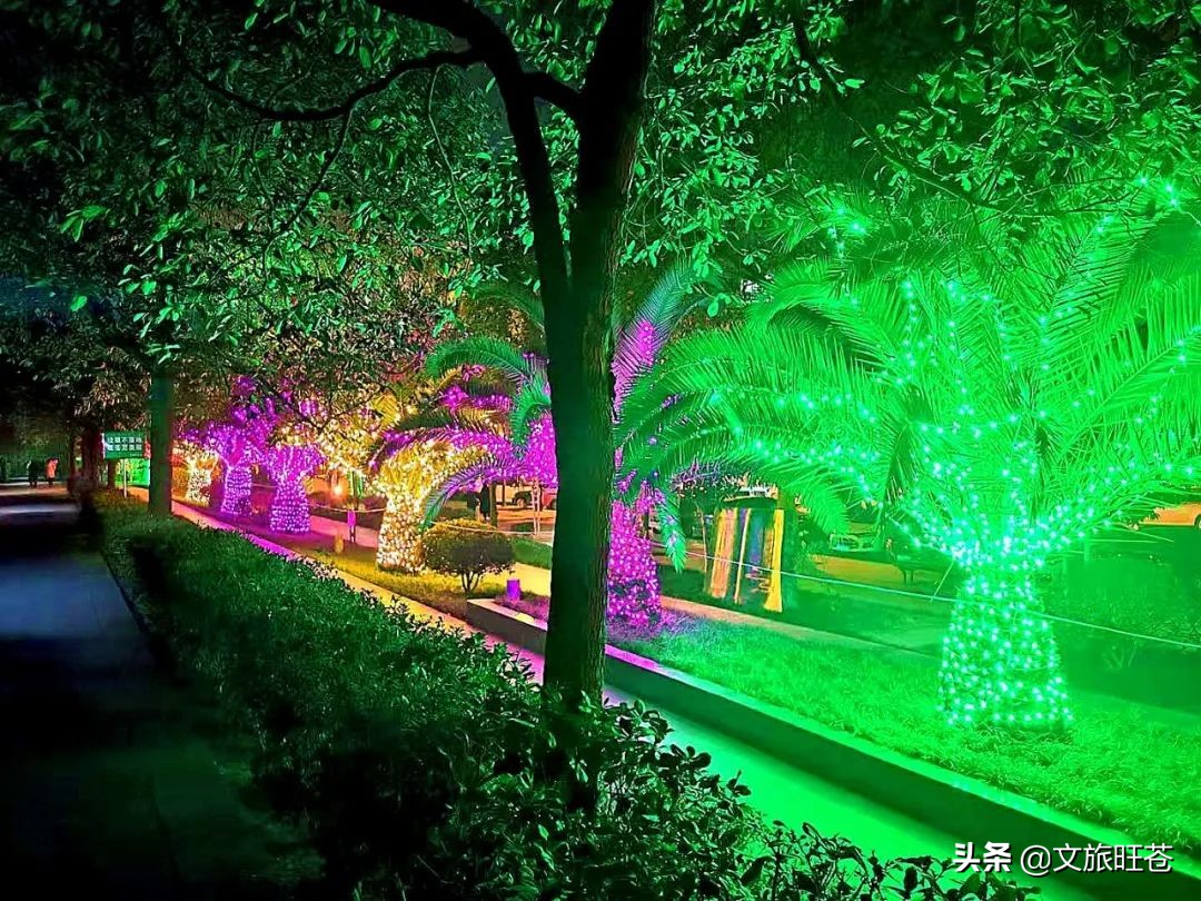 今年春节，留在旺苍过年吧！此心安处是吾乡