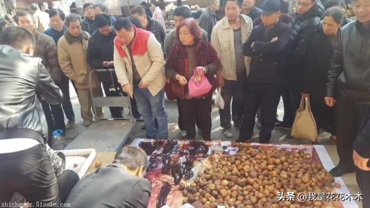 新手摆地摊什么最好卖最赚钱,摆地摊卖什么最赚钱最简单