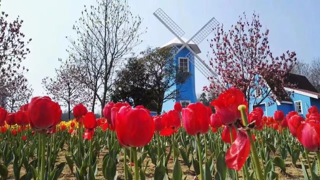 绳命是如此的精彩！网红僧人延参法师为宜兴春游踏青打call！