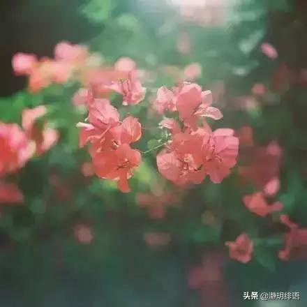 不喜欢去老婆娘家,不愿意回婆家的女人是什么心理