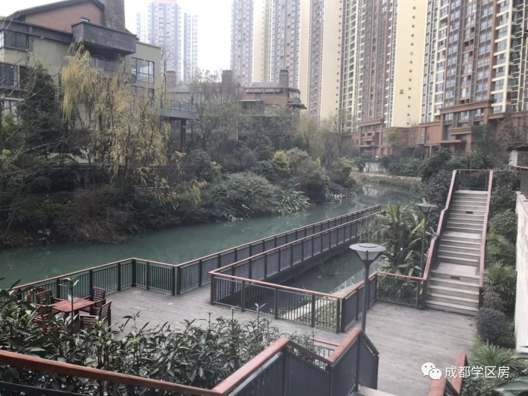 华侨城小学配套什么中学,华侨城对口小学