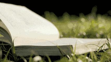 一位普通母亲的逆袭,一位妈妈的逆袭完整版