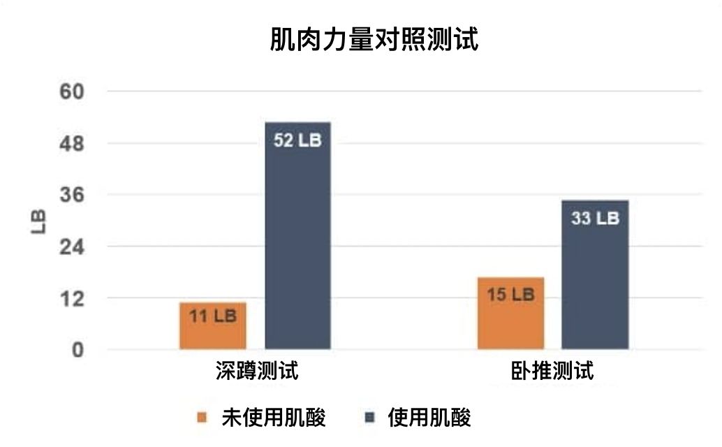 补剂科普肌酸,被严重低估的补剂肌酸