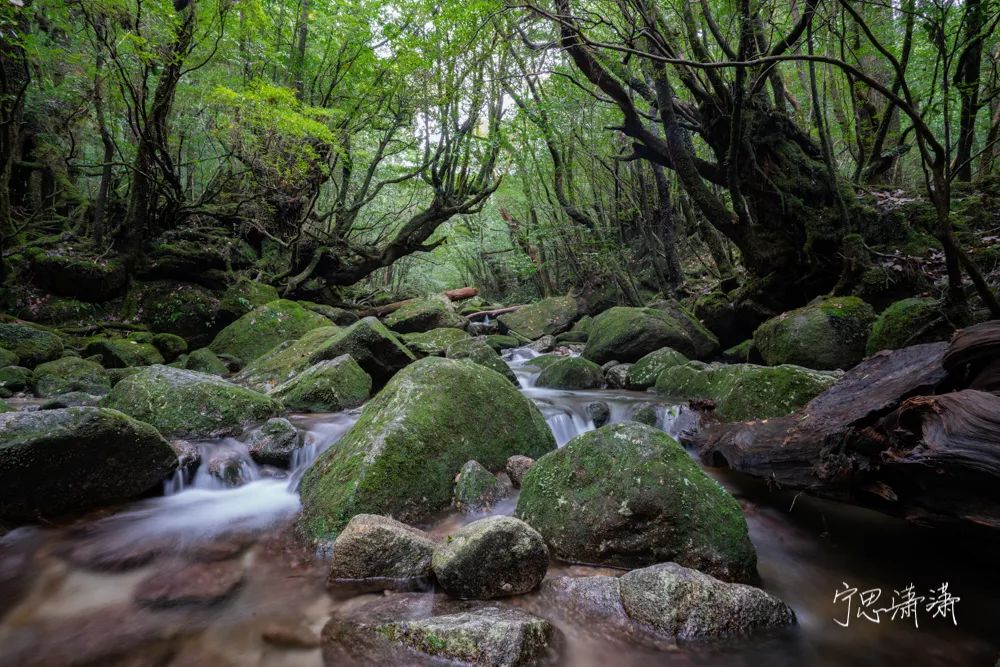 告别平谈的照片吧！17招让你的照片有大片感