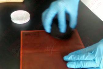 皮夹克发霉有异味怎么处理,皮夹发霉怎么办