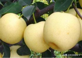 大年初一一定要摆的水果寓意好,进家买什么水果吉利