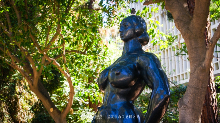 美国加州大学ucla录取条件,ucla加州大学洛杉矶分校女篮