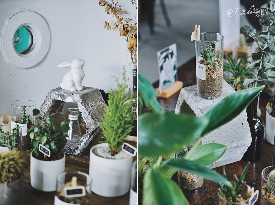 厦门没去过的地方,厦门没去过的景点