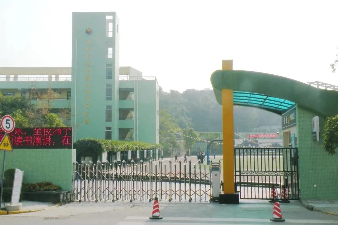 锦江三区小学排名表,锦江3区学区