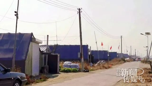 市界行看小康⑰丨新立东村:“小伞”撑起致富梦