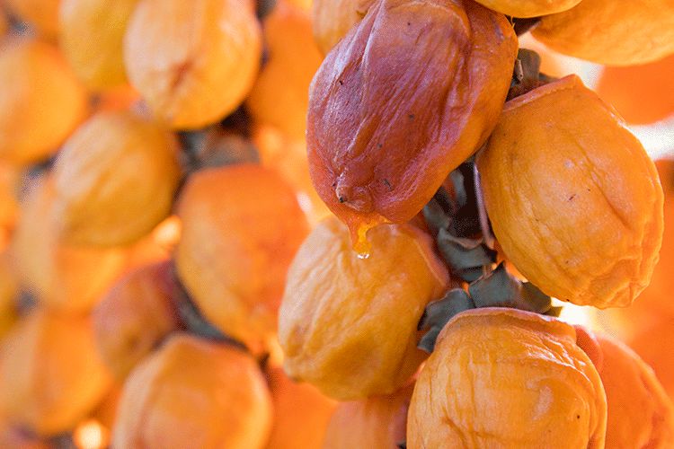 正宗的富平柿饼知识普及，记得收藏