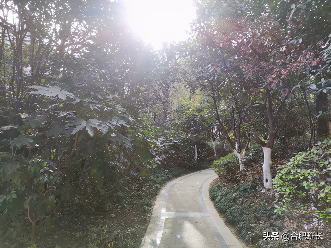 蜀山大溪地房价多少钱一平米,合肥蜀山区大溪地5期房价怎么样