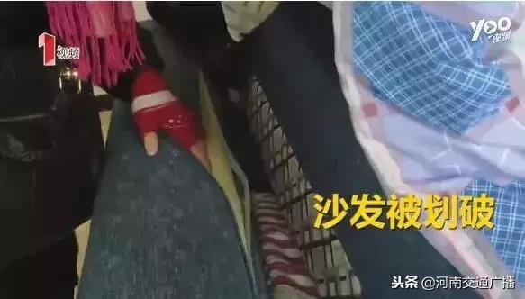 房子租给年轻人的后果,房子租给单身小伙一年多